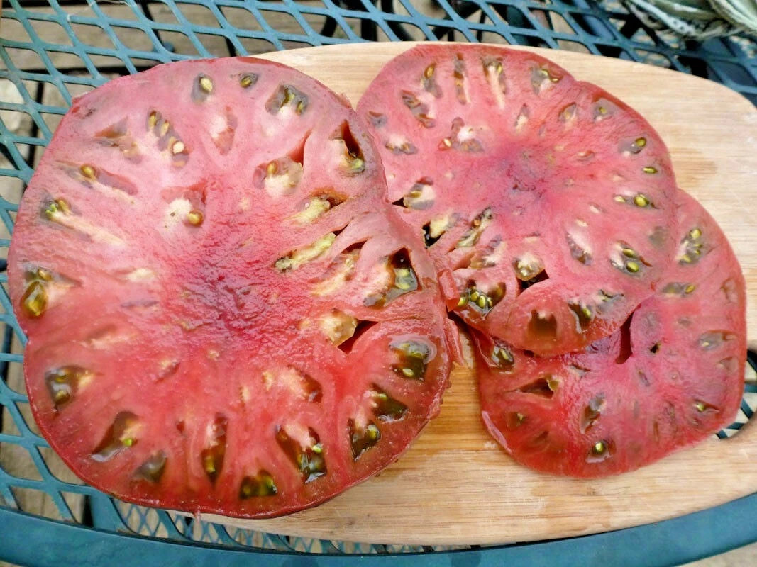 Cherokee Purple Tomato Seeds - Organic Heirloom Variety for Summer Garden & Container Planting - Solanum lycopersicum