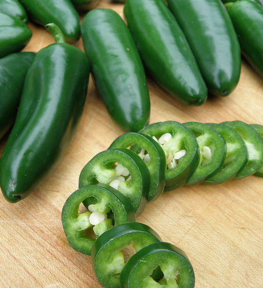 Jalapeno M Pepper Seeds, Non-GMO, Hot Pepper Seeds for Jalapeno Poppers, Capsicum annuum