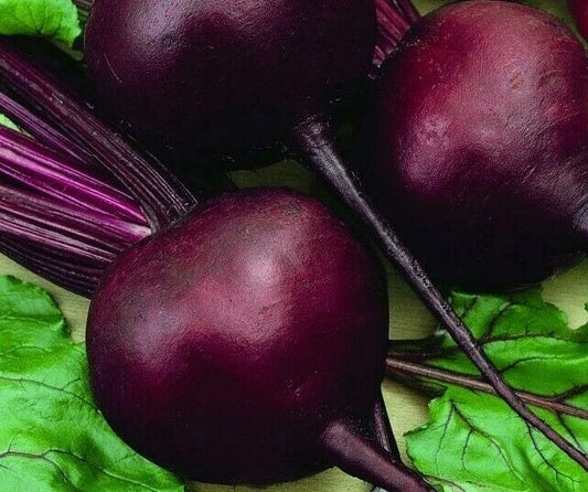 Beet Seeds 100+ Detroit Dark Red Non-GMO Garden Vegetable Beta vulgaris