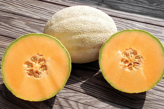 Cantaloupe Seeds - Cleopatra Variety - Fresh Seeds for Planting - Cucumis melo