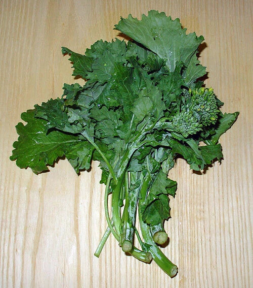 Broccoli Raab Seeds - 1000 Count - Rabe Rapini - Flowering Brassica Seeds - Heirloom Vegetable Garden Planting