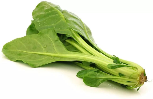 Chinese Spinach Seeds, 100 Pack, Ipomoea aquatica, Organic Edible Greens for Gardening