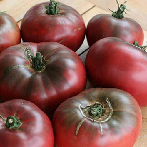 Cherokee Purple Tomato Seeds | Heirloom Non-GMO Variety | Solanum lycopersicum