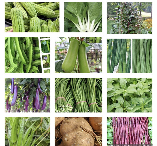 20 Packets Asian Vegetable Seeds for Planting – Filipino Varieties – Perfect for Home Garden – USA Seller