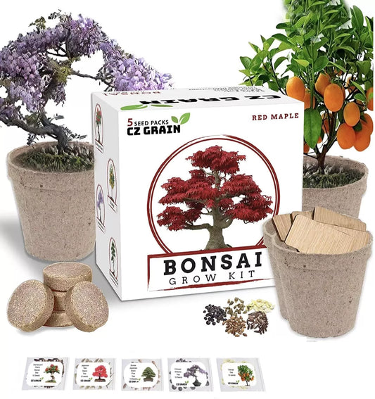 Bonsai Tree Kit - Grow 5 Varieties - All-in-One Plant Kit - Ficus, Juniper, Pine, Maple, and Elm