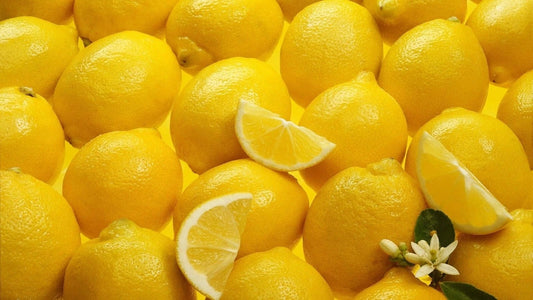 Meyer Lemon Tree Scions Cuttings 4-6 Inches Long for Rooting and Grafting - Citrus limon var. meyeri