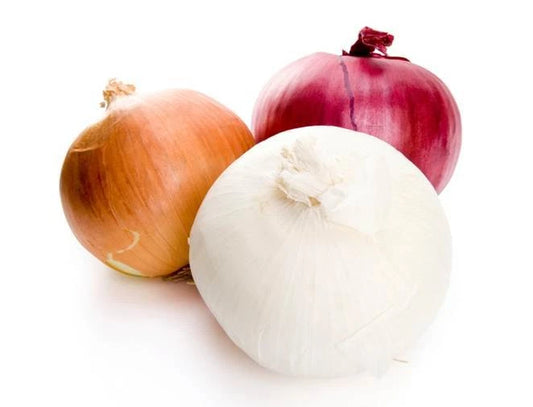 Bulk Onion Seeds - 1000 Count - Sweet Assortment - Allium cepa - Healthful Variety