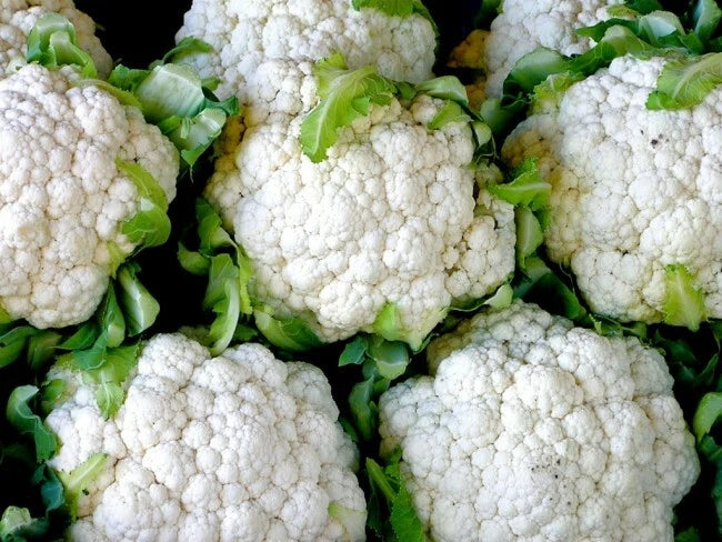 Cauliflower Seeds 1/4 Lb Snowball Y Improved Heirloom Vegetable (Brassica oleracea)