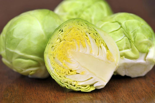 Brussel Sprouts Seeds | 250+ Seeds | Long Island Variety | Grow Your Own Food | Brassica oleracea var. gemmifera