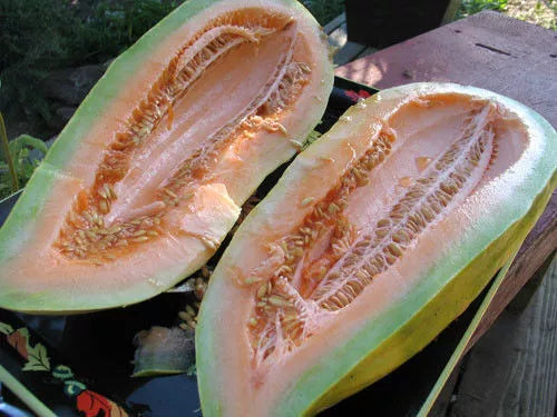 25 Melon Banana Seeds - Rare Heirloom Variety - GroCo USA - Non-GMO Gardening Seeds