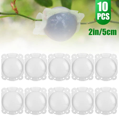 10PCS Plant Rooting Box 5cm Transparent Grafting Device for Air Layering, Durable PP Plastic, Ideal for Roses & Trees