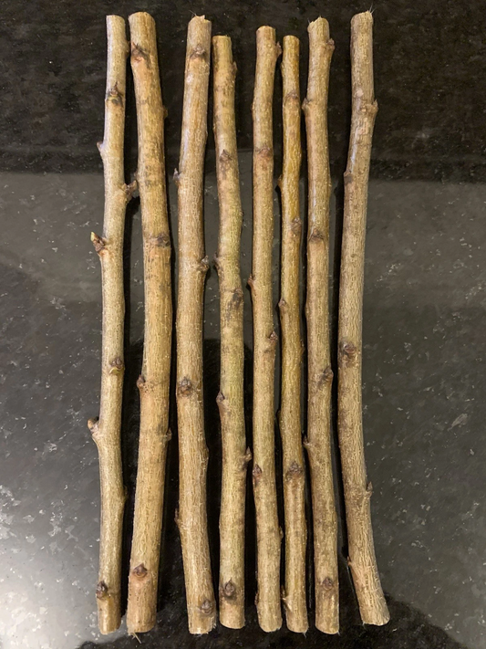 3 Methley Plum Cuttings Scions Prunus Salicina Unrooted for Grafting Fruit Tree Propagation