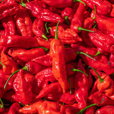 10+ Ghost Pepper Seeds | Bhut Jolokia | Extremely Hot Non-GMO Chili for Spicy Gardens & Containers | Heirloom Variety