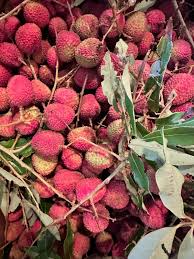 10 Seeds Lychee Tropical Fruit - Heirloom, Non-GMO Litchi Chinensis - Sweet, Juicy, Exotic Fruit Tree - Easy to Grow in Warm Climates
