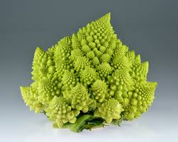250+ Romanesco Broccoli Seeds | Brassica oleracea | Unique Non-GMO Heirloom Vegetable for Gardens | Stunning Spiral Heads