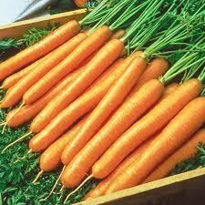 250 Tendersweet Carrot Seeds for Planting | Heirloom Non-GMO | Sweet, Crunchy Roots for Garden Beds, Containers & Raised Beds