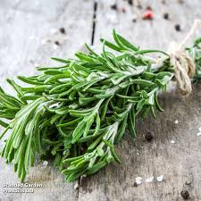 100 mg Seeds Rosemary Herb – Salvia rosmarinus for Planting | Aromatic Culinary for Home Gardens