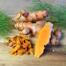 Turmeric Root Bulbs, Curcuma longa, 6 Live Rhizomes, Tropical Ginger Family Plant, USDA Zones 8-11