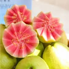50 Seeds Tropical Strawberry Guava (Psidium Cattleianum) - Organic Pink Guava - Exotic Fruit Tree - Sweet & Tart Flavor