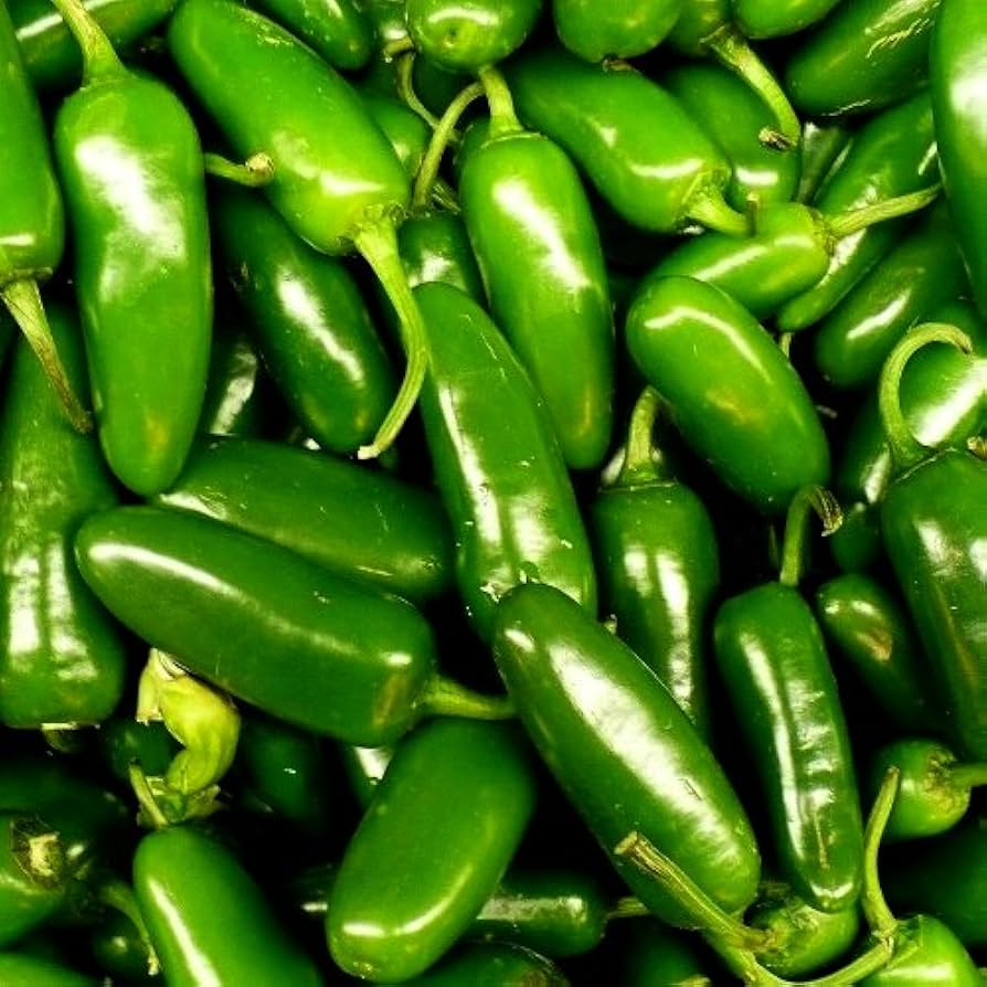 100+ Jalapeño Pepper Seeds | Capsicum annuum | Spicy Heirloom Variety | Grow Flavorful Peppers for Salsa, Pickling, or Grilling