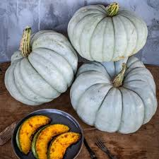 10 Jarrahdale Pumpkin Seeds | Blue Winter Squash | Cucurbita maxima | Non-GMO Sweet Heirloom Pumpkin from Queensland, Australia