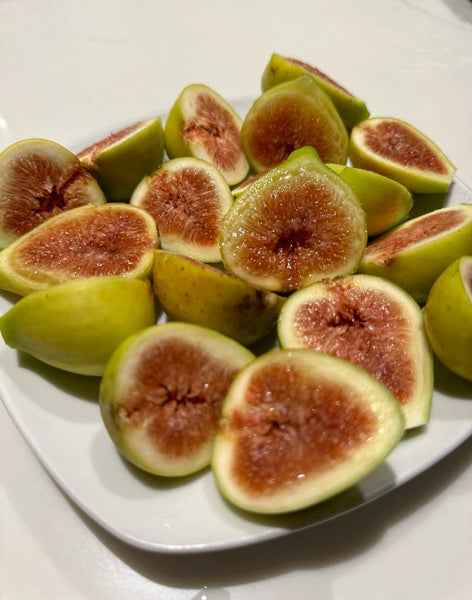 2 Brooklyn White Fig Unrooted Cuttings + Willow Water for Rooting, Fresh Figs, Fig Tree Propagation, Grow Brooklyn White Figs at Home