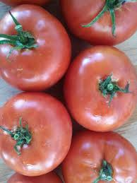 100 mg VR Moscow Tomato Seeds - Solanum lycopersicum | Heirloom Disease-Resistant Tomato for Planting, Gardening & Slicing