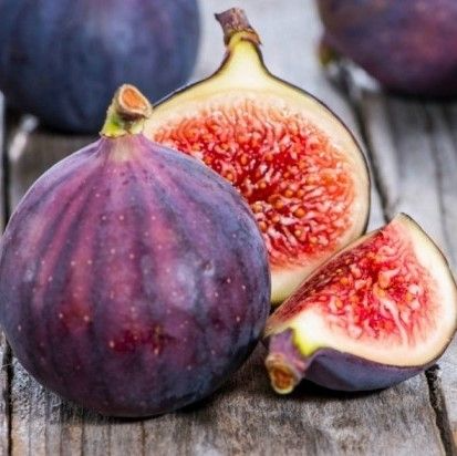 3x 'Monstrueuse' Fig Unrooted Cuttings 5-6" | Ficus carica | Large Fig Variety | Delicious Sweet Fruit, Easy Rooting for Gardeners